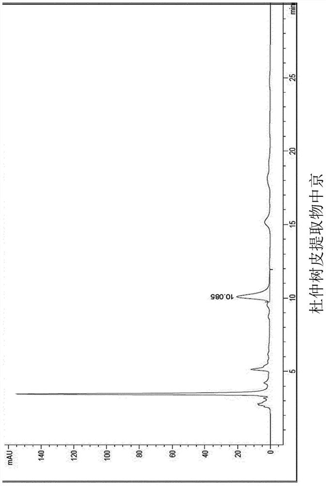 Cosmetic composition comprising hardy rubber tree bark extract for cooling skin or reducing skin redness