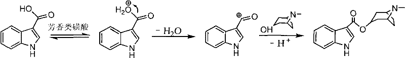 Synthetic method of tropisetron and prepare method of hydrochloric acid tropisetron