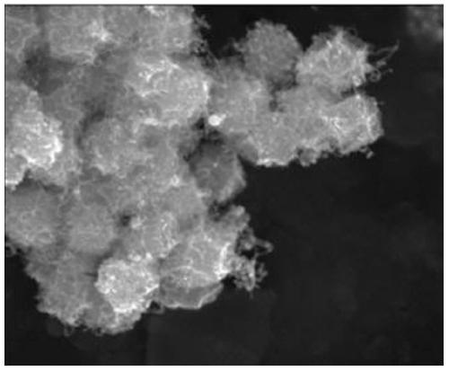 A kind of non-precious metal catalyst and preparation method thereof