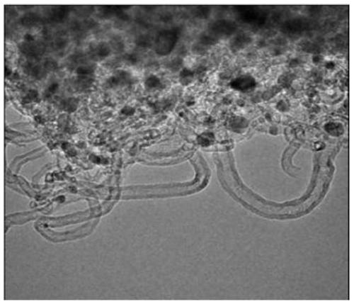 A kind of non-precious metal catalyst and preparation method thereof