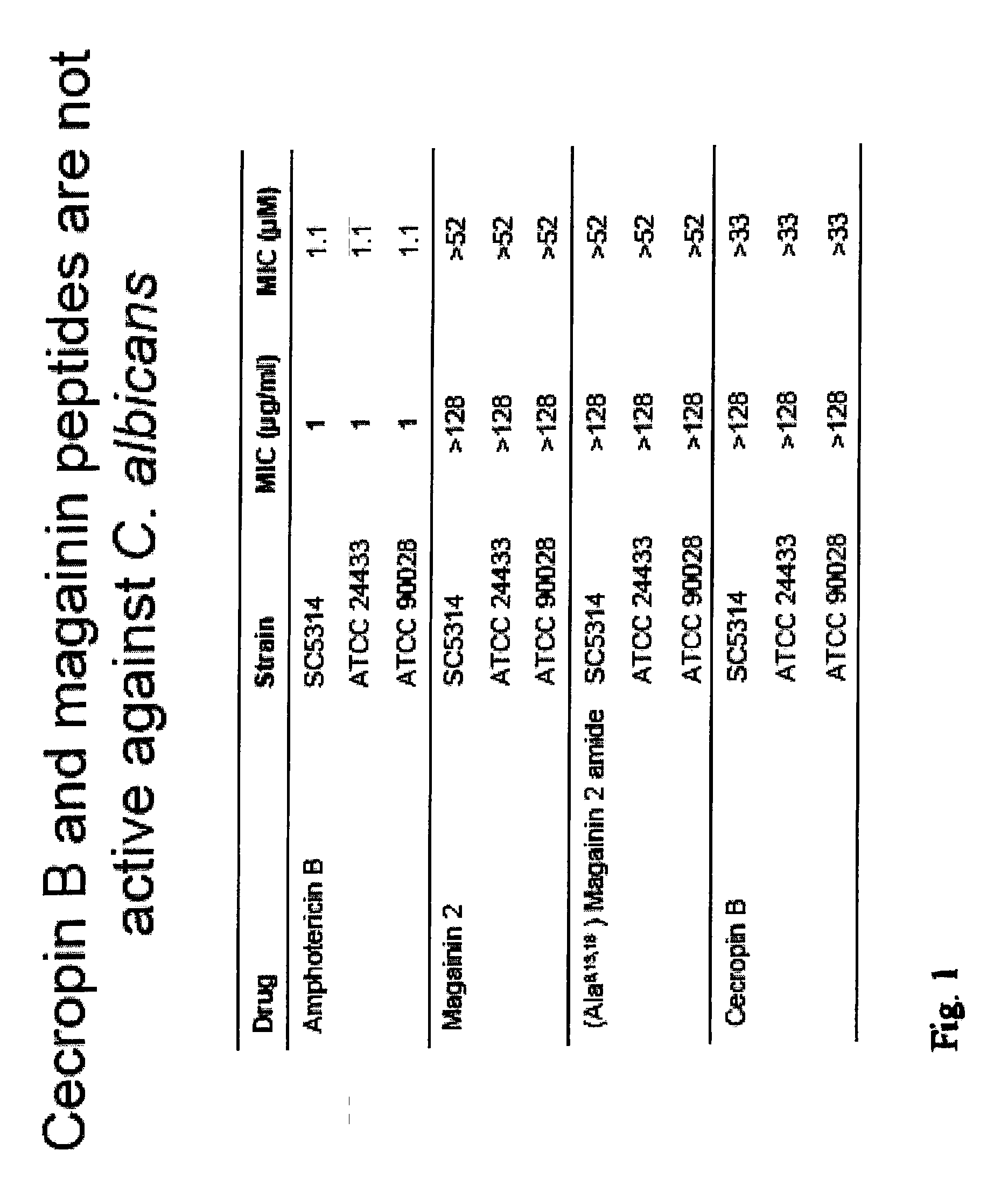 Beta-peptides with antifungal activity