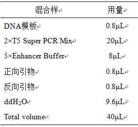 Broiler growth character-associated molecular marker and application thereof