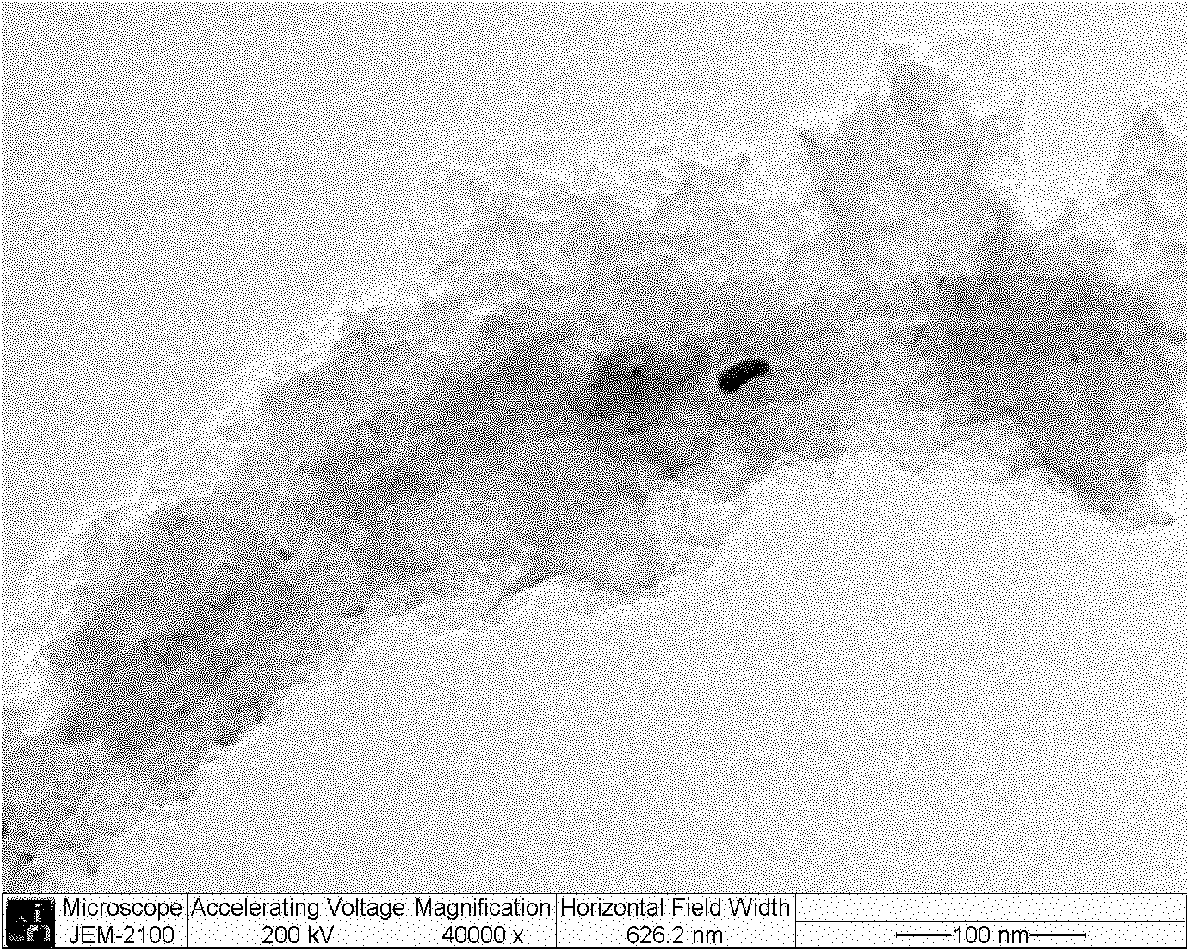 Carbon nano tube-containing sulfur-based composite cathode material and preparation method thereof