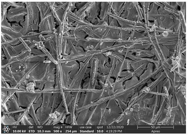 ZnO-C/Al2SiO5 low-density high-loss complex-phase wave-absorbing ceramic and preparation method thereof