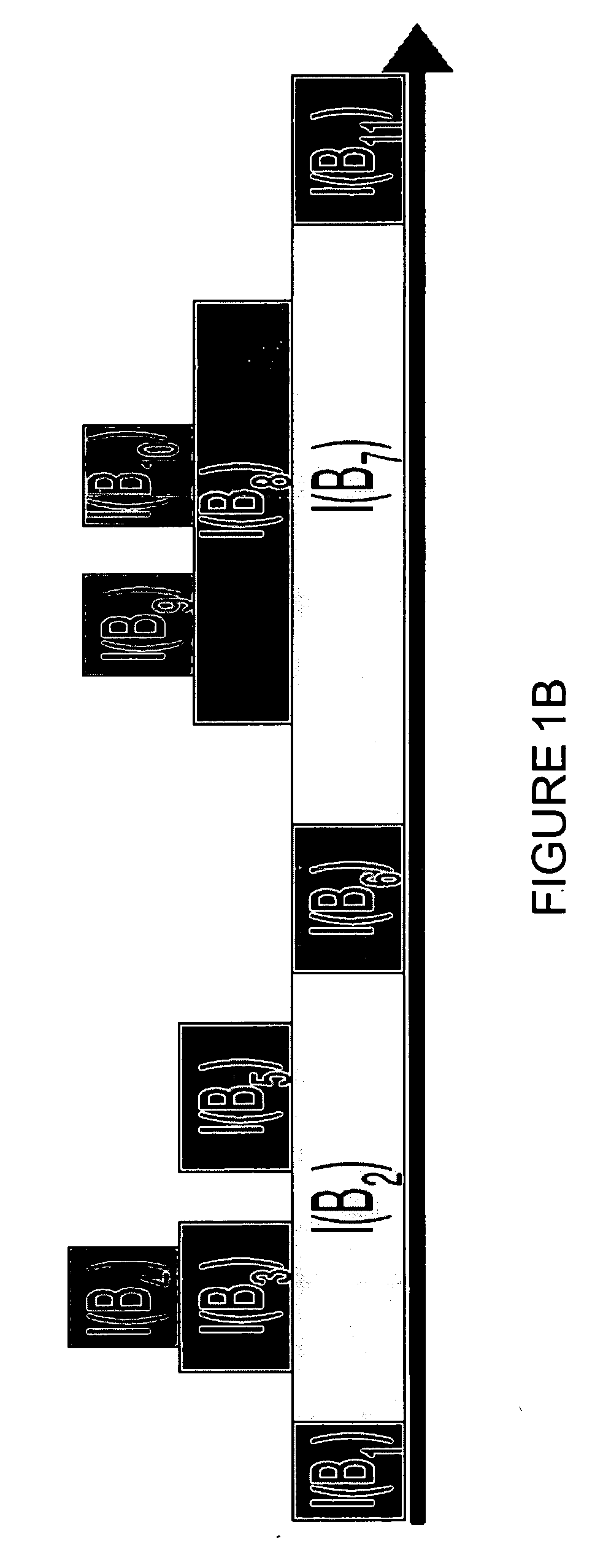 Method and system for shared backup allocation in networks based on partial information