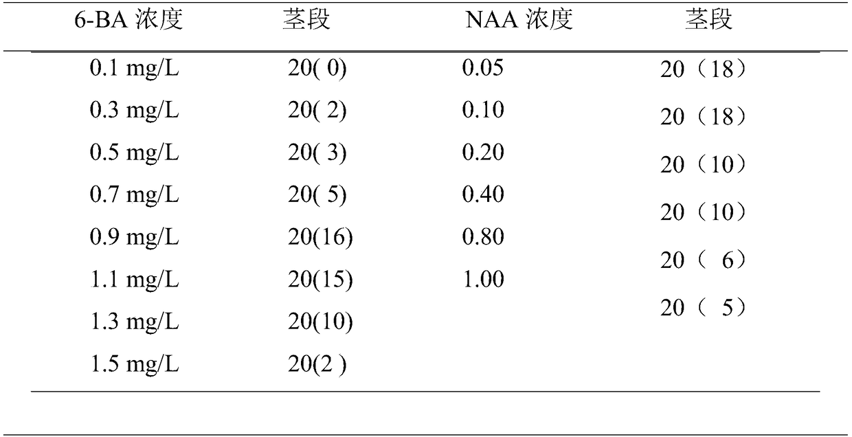 In Vitro Rapid Propagation Method of Virus-free Seedlings of Raspberry Palmifolia