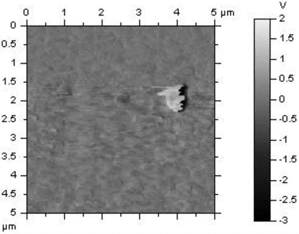 Preparation method of anti-reflection self-cleaning coated glass