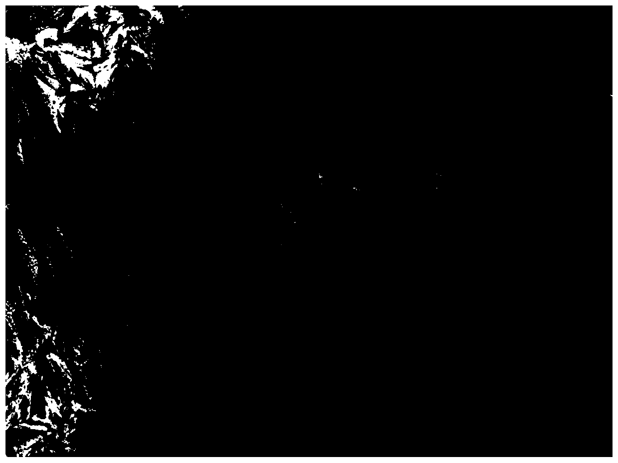 Preparation method of few-layer organic crystalline state film and organic field effect transistor