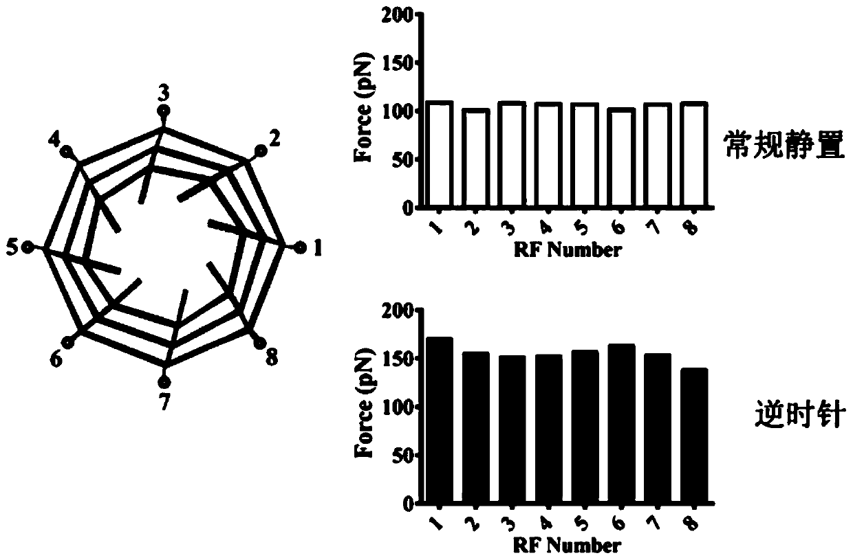 Method for mediated differentiation of bone marrow mesenchyml stem cells into osteoblasts