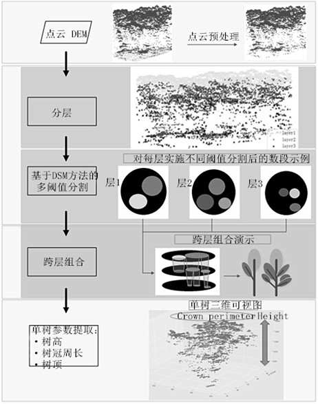 Method for measuring tree-level parameters of deciduous forest based on small-spot airborne radar