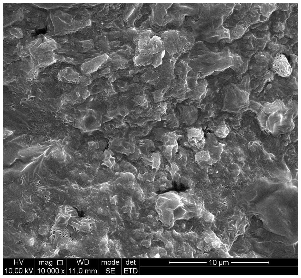 Shape memory polyurethane bone scaffold prepared by gas foaming method and application thereof