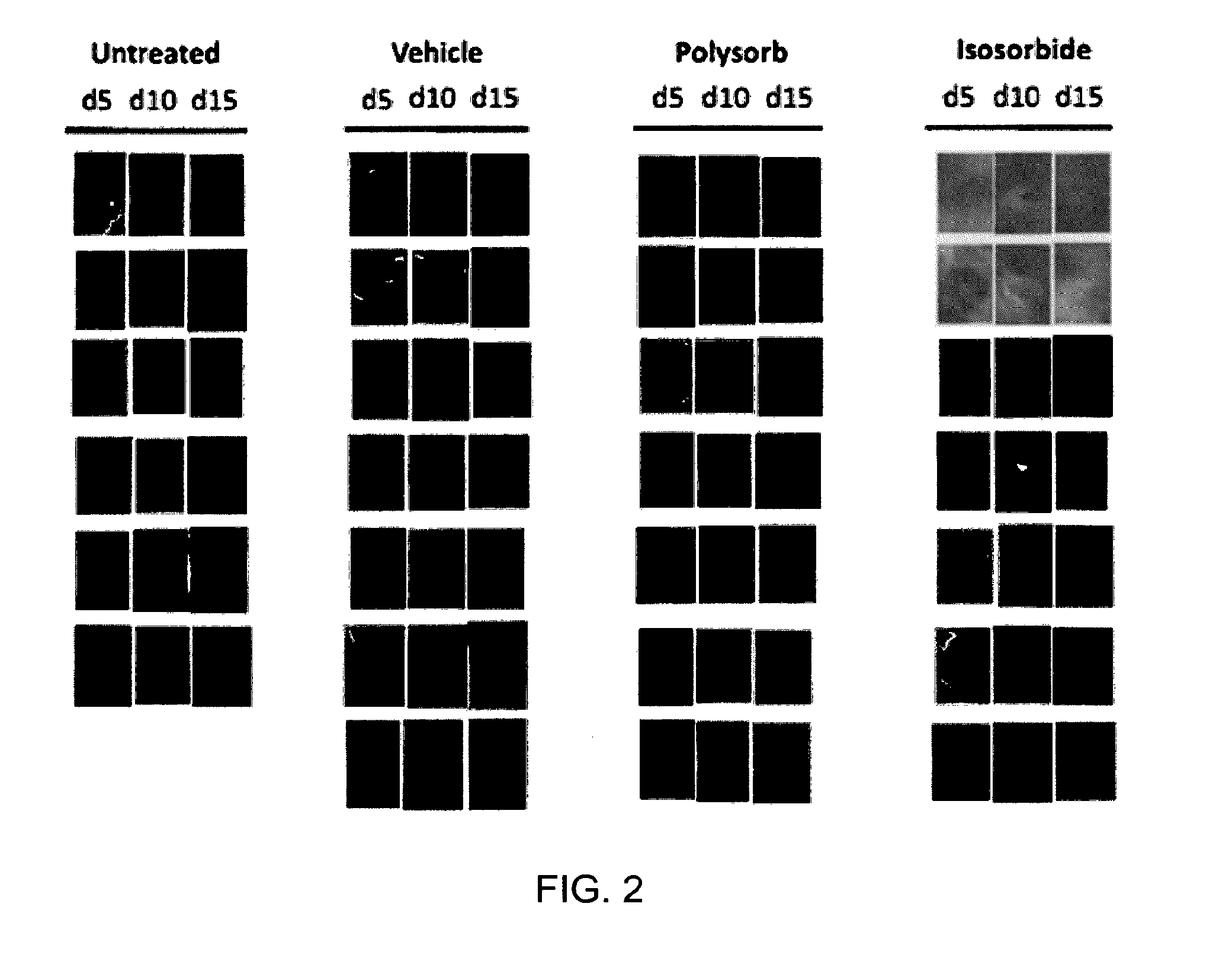 Compounds and formulations for the treatment of wounds