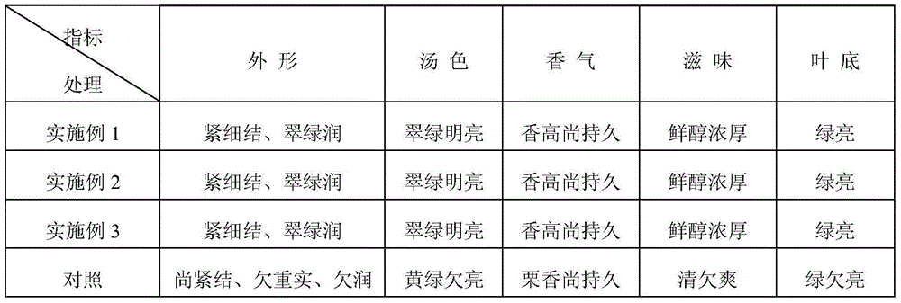 Preparation technology of ampelopsis grossedentata green tea