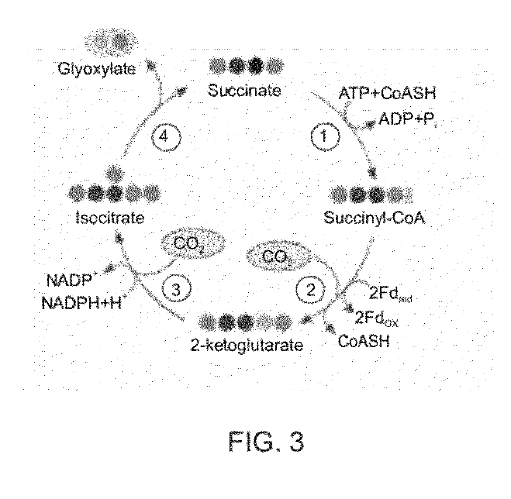 Enzymatic systems for carbon fixation and methods of generating same