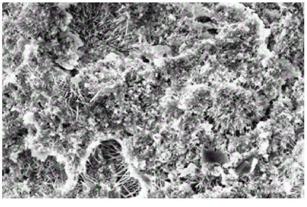 Bending-resistant basic magnesium sulfate cement and preparation method thereof