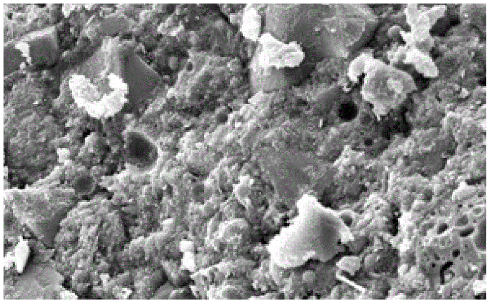 Bending-resistant basic magnesium sulfate cement and preparation method thereof