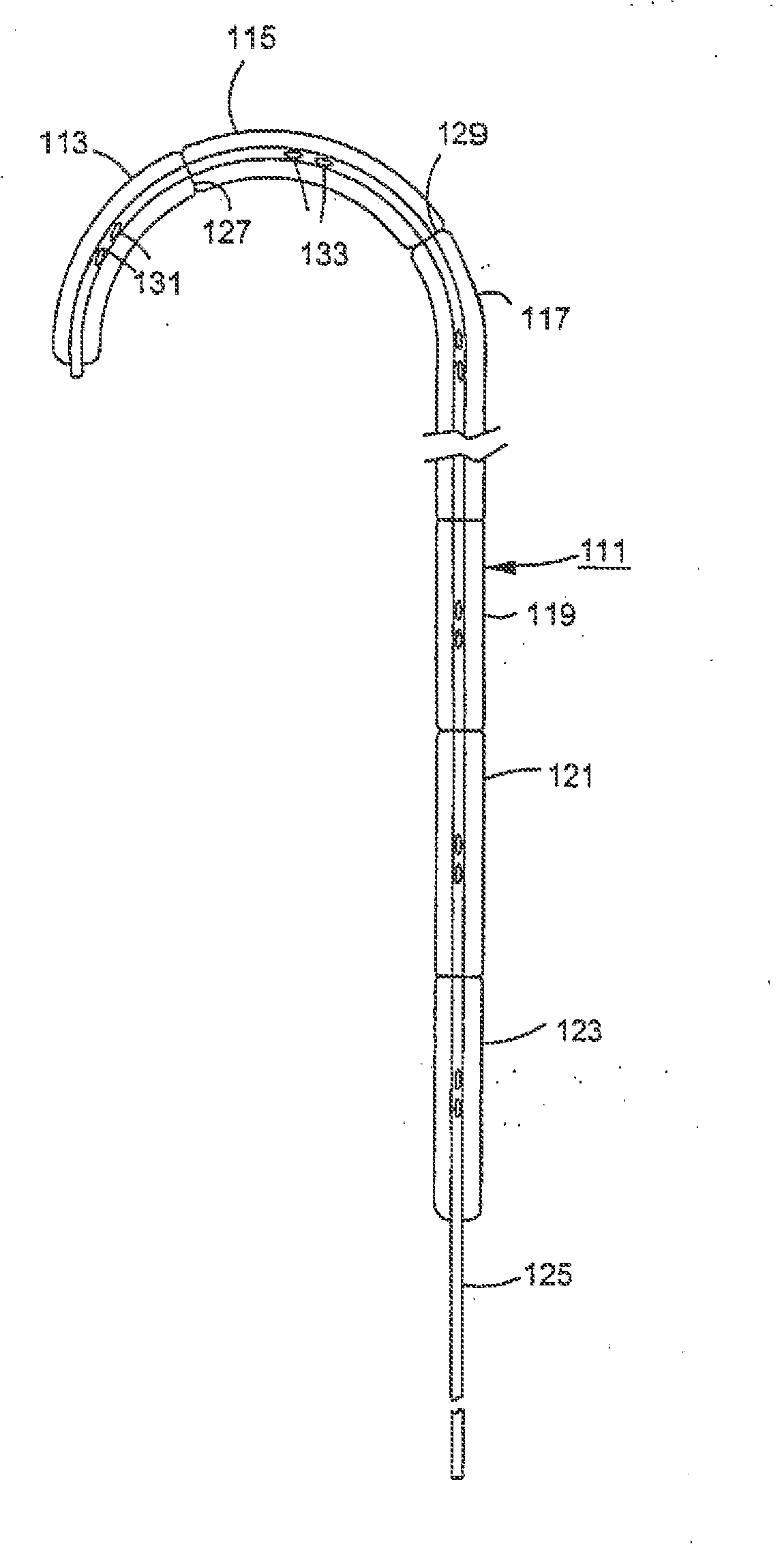 Methods, compositions and apparatus for delivering heterologous molecules to cells