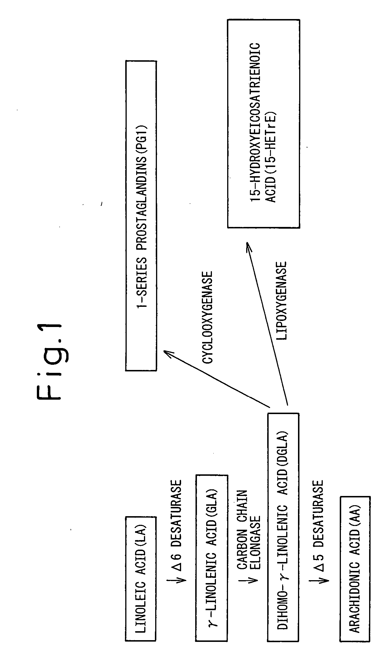 Composition Comprising Dihomo-y-Linolenic Acid (Dgla) As Active Ingredient