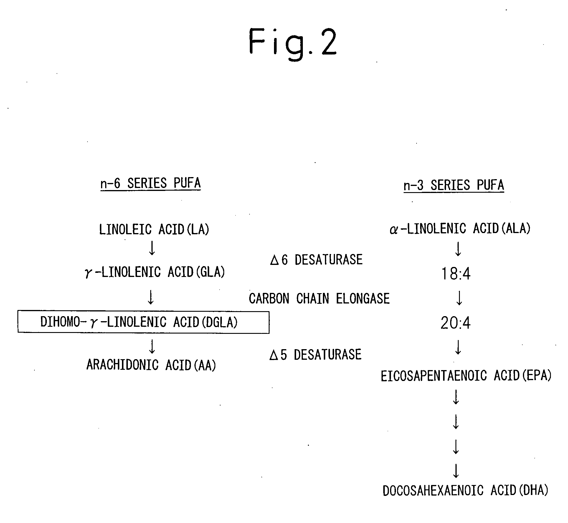 Composition Comprising Dihomo-y-Linolenic Acid (Dgla) As Active Ingredient