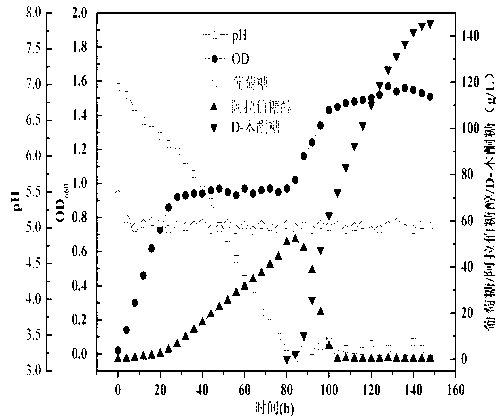 Method for preparing xylitol and its intermediate D-xylosone by microbial transformation of glucose and strain used in the same