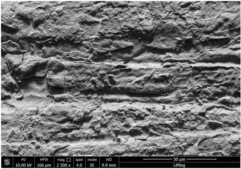 Aluminum-doped SnO2 electro-catalytic positive pole, preparation method, and application thereof