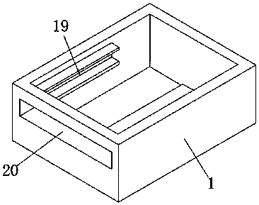 Transplanting device for photinia serrulate breeding