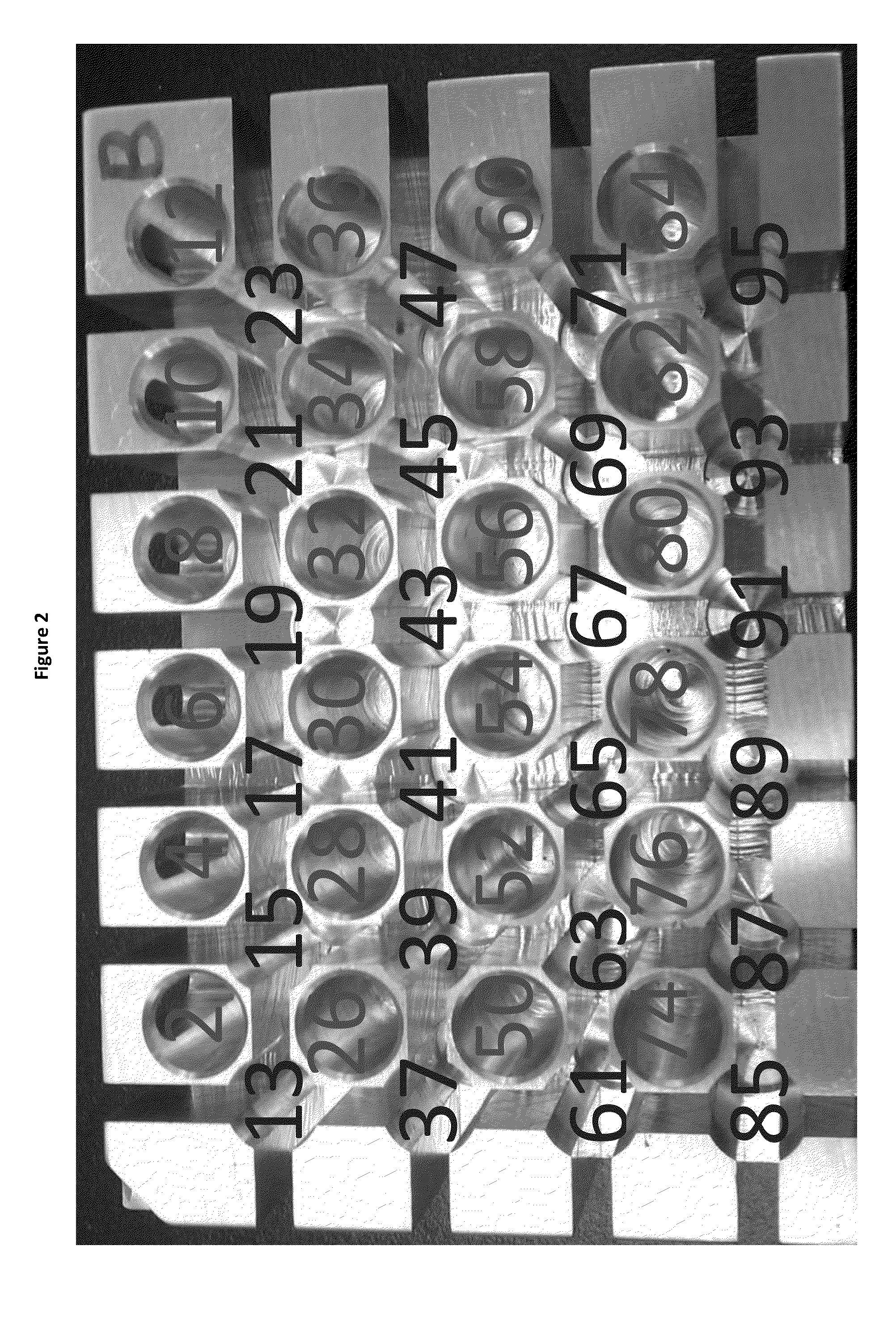 System and method for high throughput tissue sample extraction