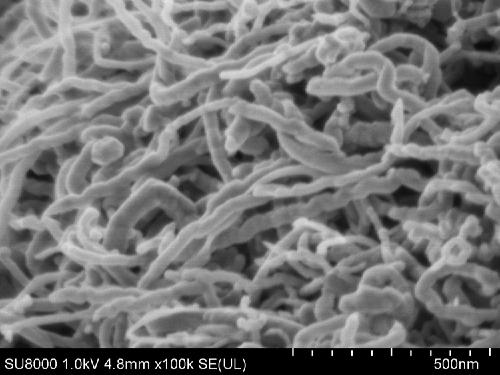 Preparation method of carbon nanotube metal symbiotic material