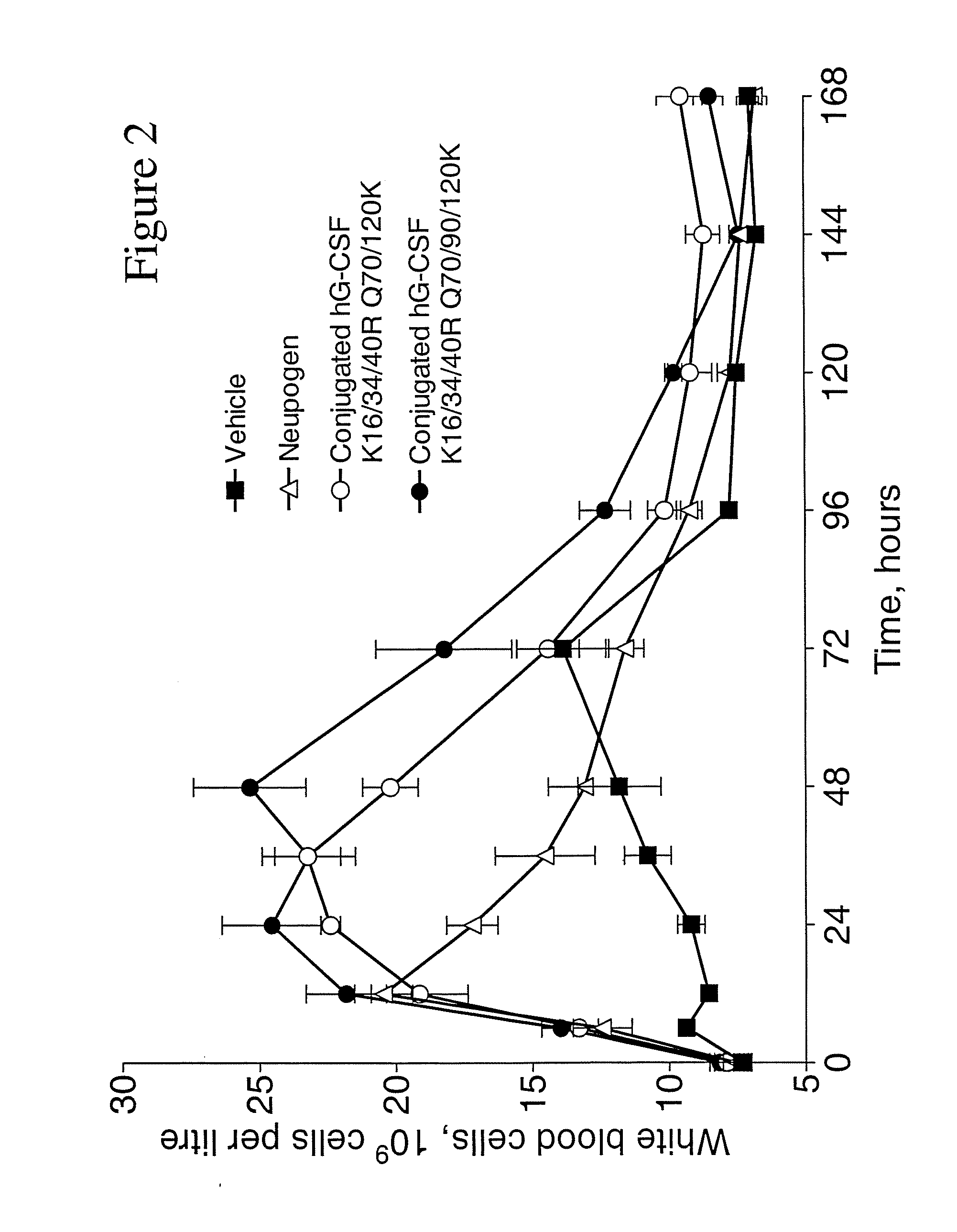 G-CSF Conjugates