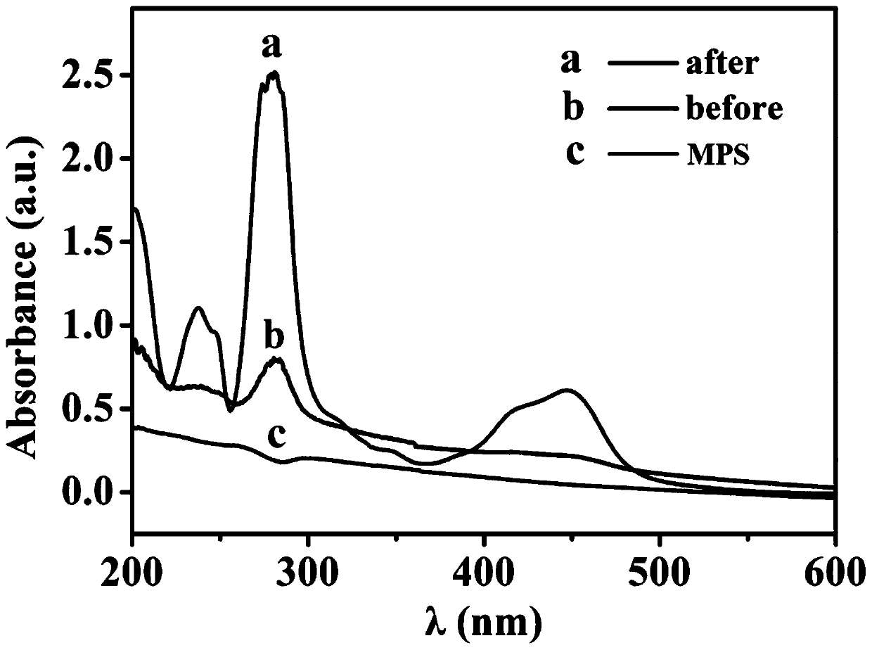 Photo-thermal release signal enhanced type thyroglobulin electrochemiluminescence immunosensor