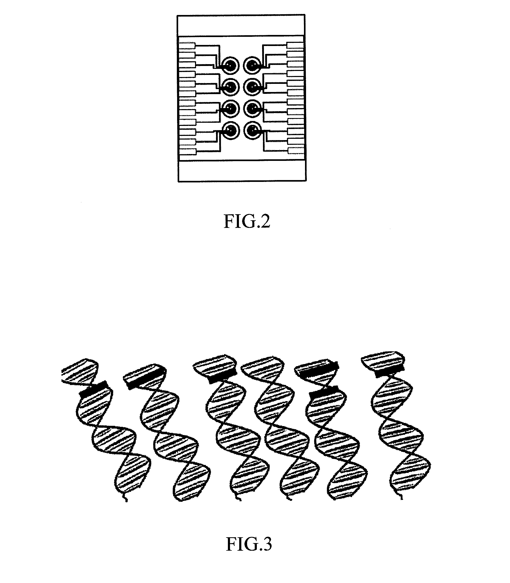 Micro electrochemical multiplex real-time PCR platform