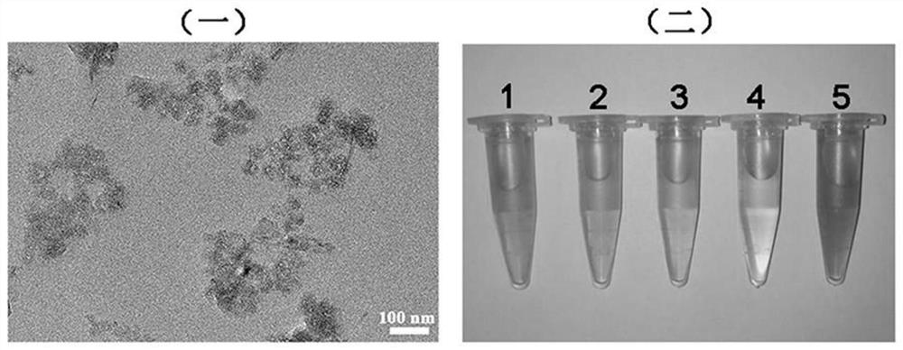 Manganese dioxide-based nano-drug carrier and preparation method and application thereof