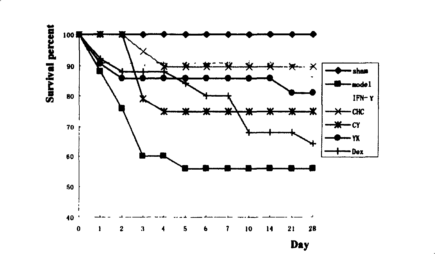 Composition and its use