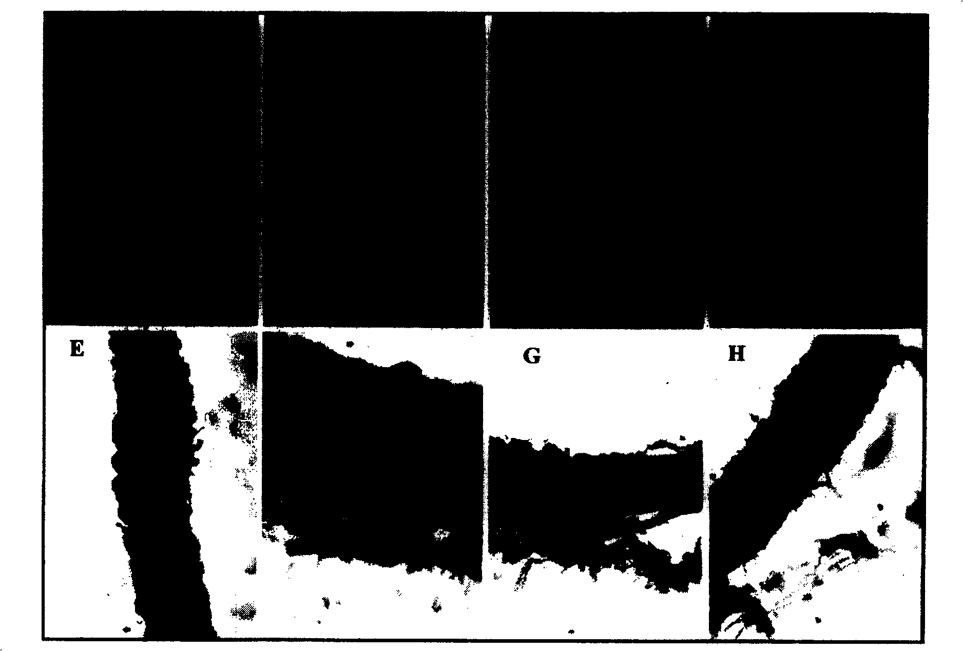 Composition and its use