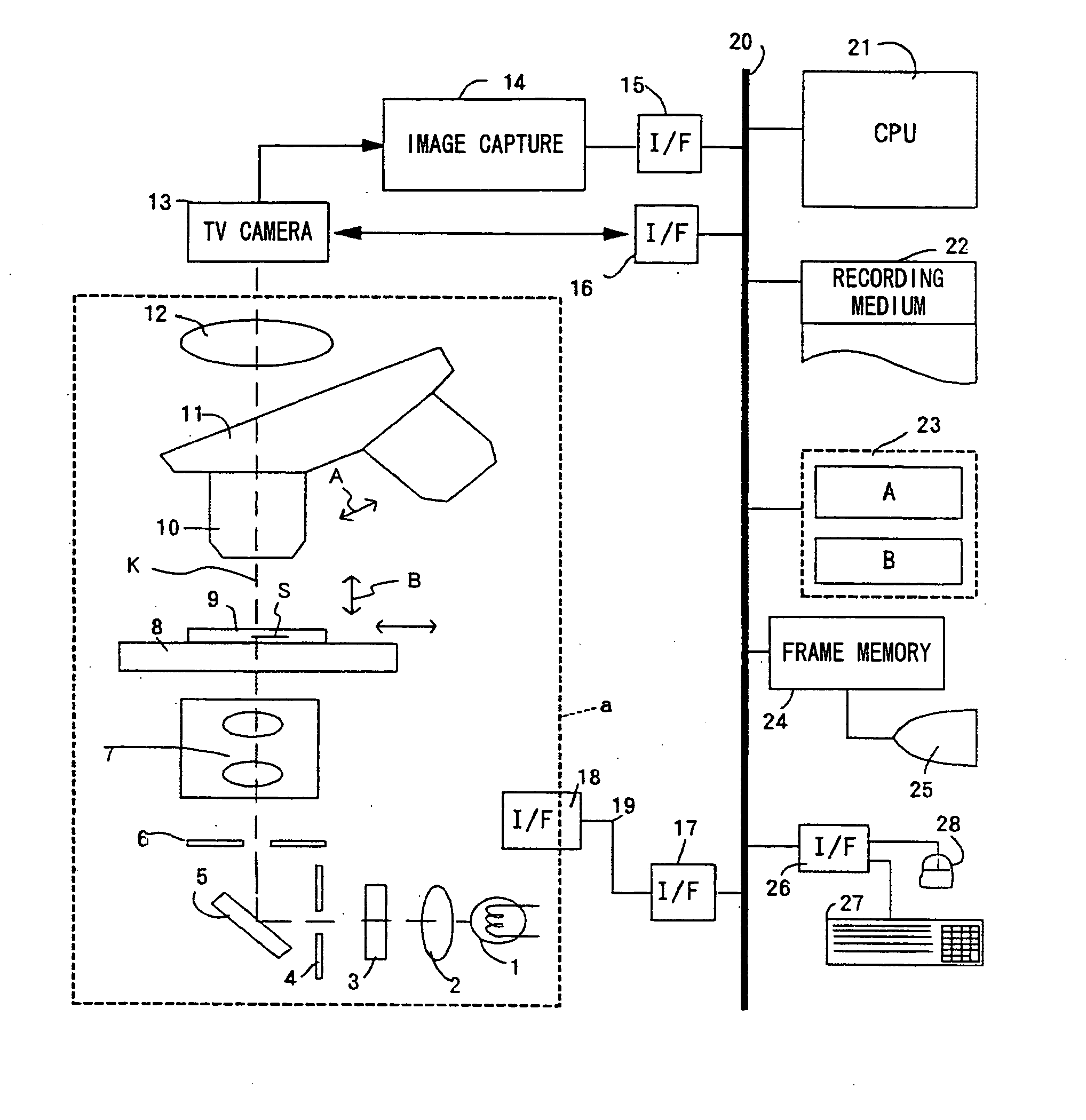 Microscopic image capture apparatus and microscopic image capturing method