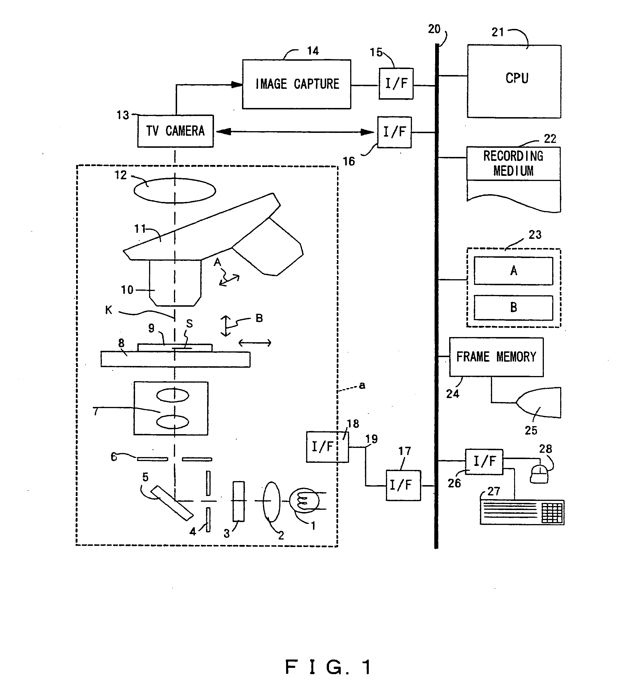 Microscopic image capture apparatus and microscopic image capturing method