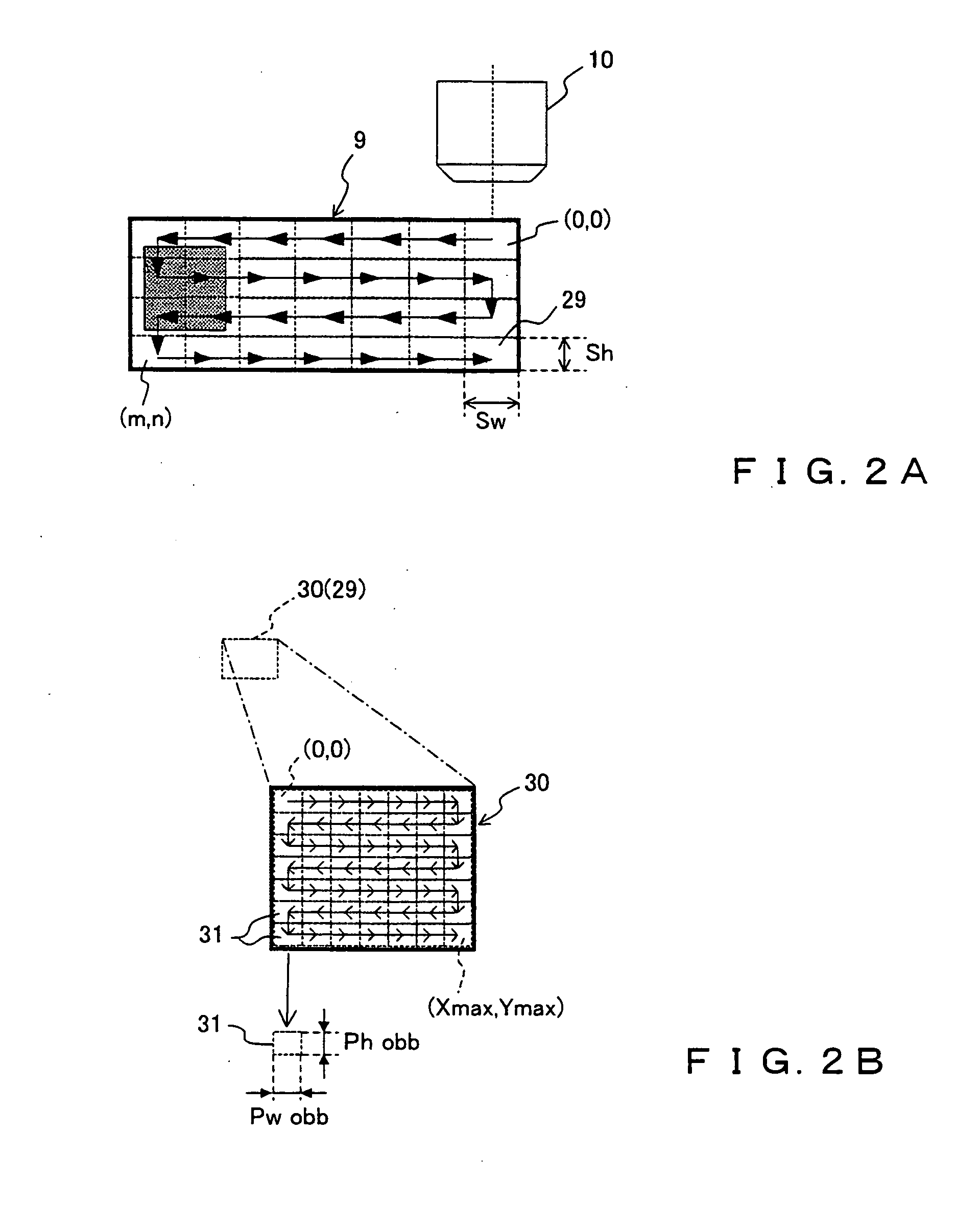 Microscopic image capture apparatus and microscopic image capturing method