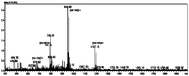 Structurally modified glp-1 analogue and preparation method thereof