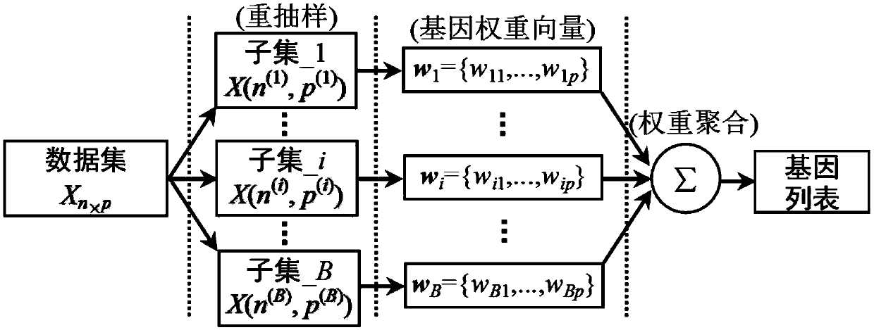 A PLS-based multi-disturbance integrated gene selection and tumor-specific gene subset recognition method