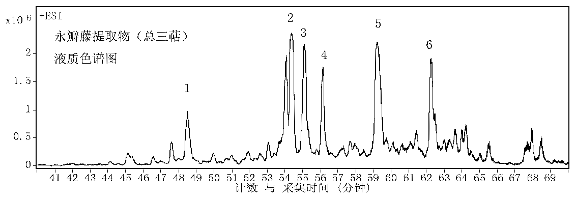 Extract of vine vine with anti-inflammatory activity, preparation method and application thereof