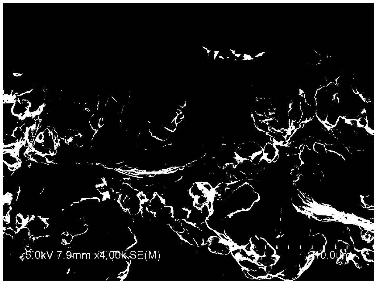 Environmental-friendly modified starch / feather protein grafted copolymer composite size, preparation method and application thereof