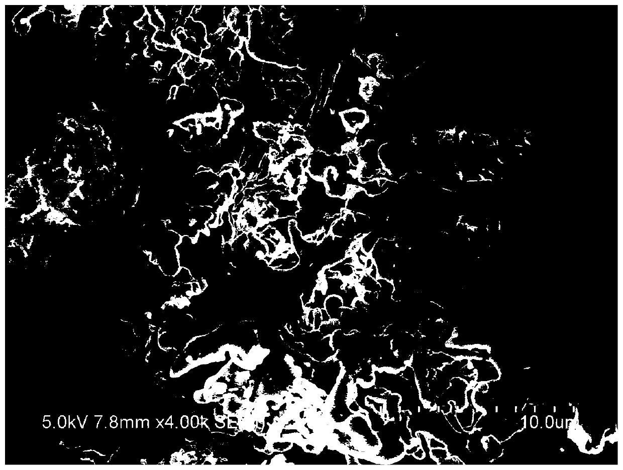 Environmental-friendly modified starch / feather protein grafted copolymer composite size, preparation method and application thereof