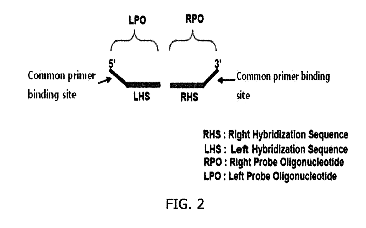 Probe for detecting drug resistant gram-positive pathogens, probe set and method for detecting drug resistent gram-positive pathogens using them