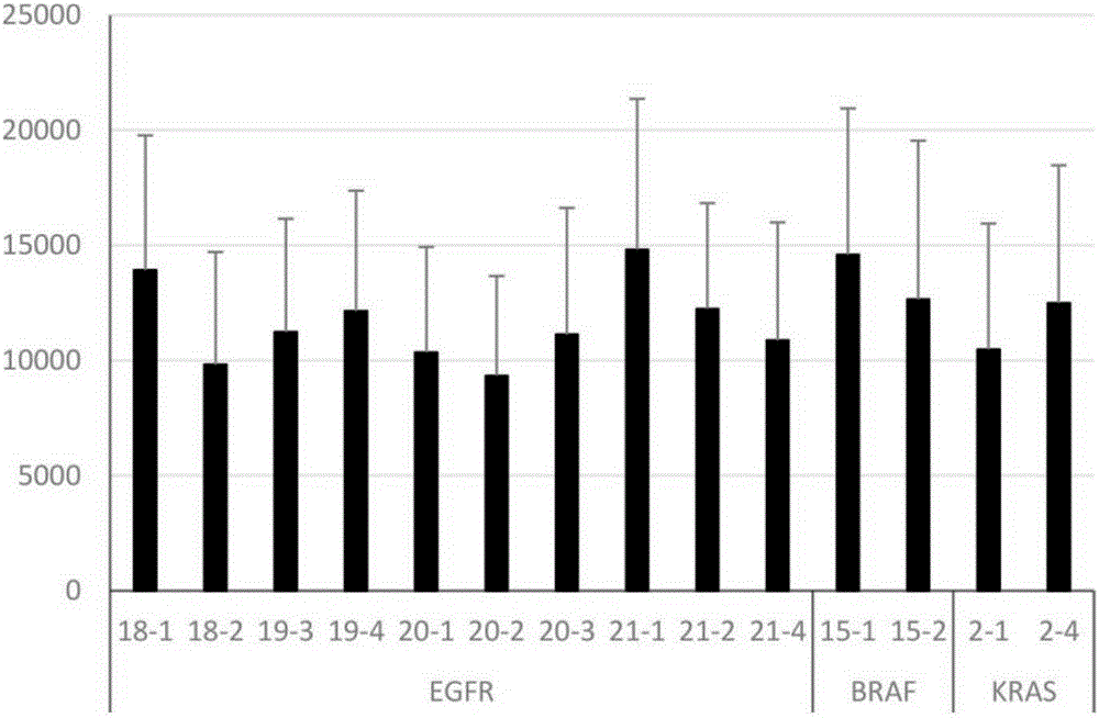 Multi-PCR primer for detecting EGFR/KRAS/BRAF genetic mutation locus based on next-generation sequencing technology and method and application