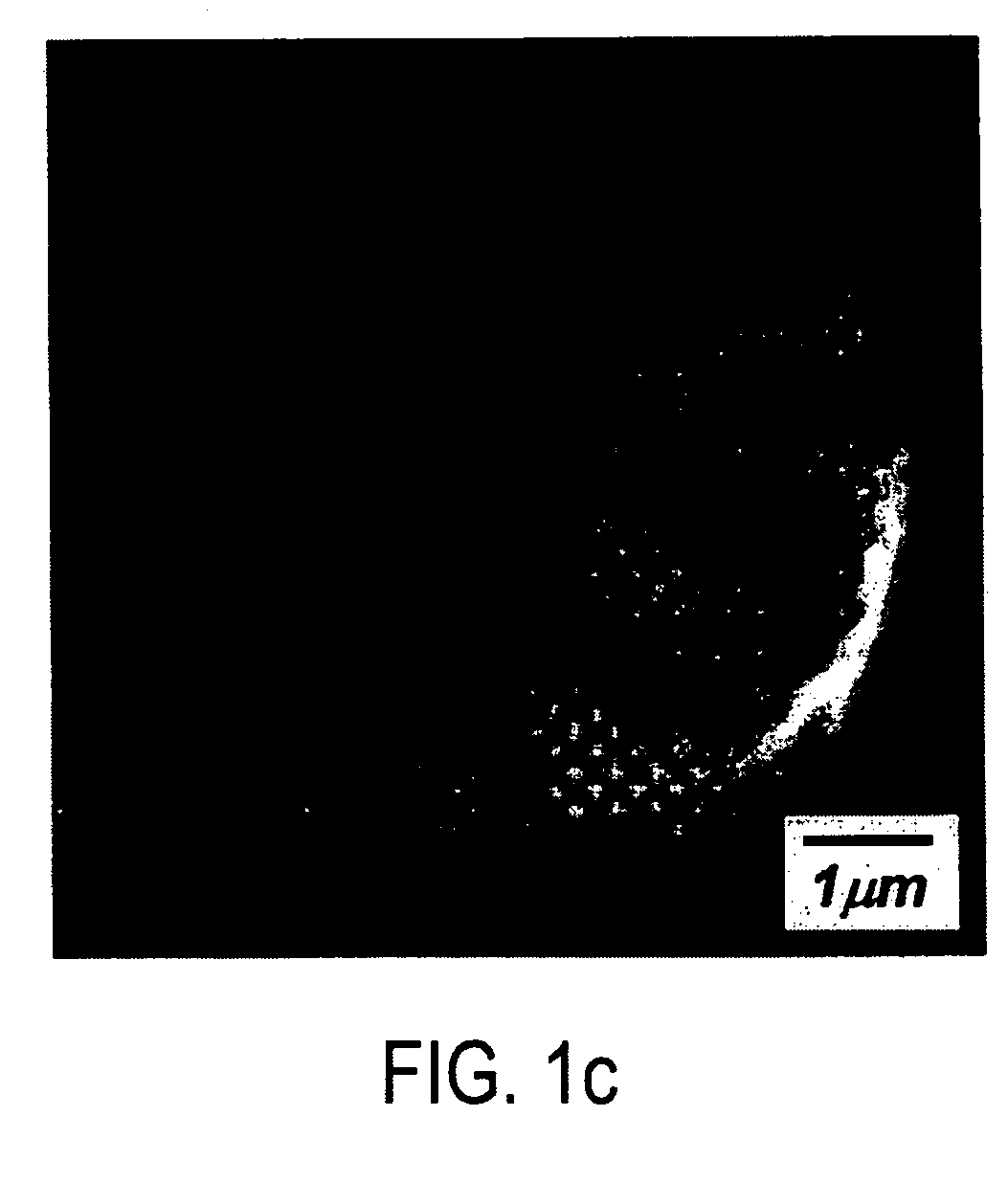 Layered cathode materials for lithium ion rechargeable batteries