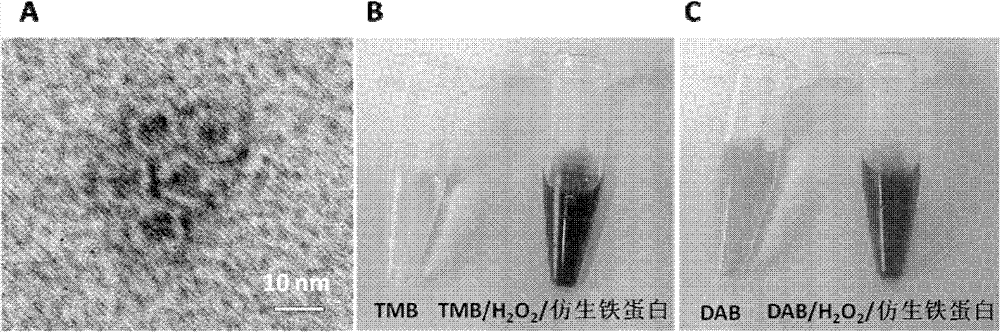 Difunctional tumor diagnosis reagent and method thereof