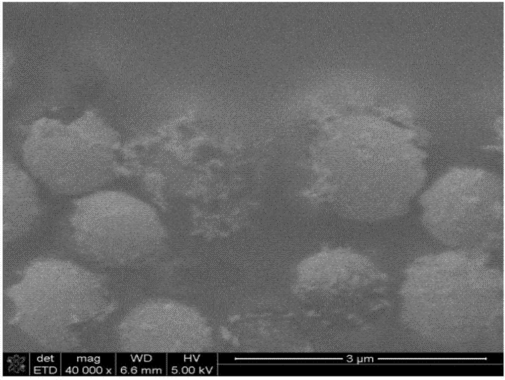 Electrochemical immunosensor as well as preparation method and application thereof