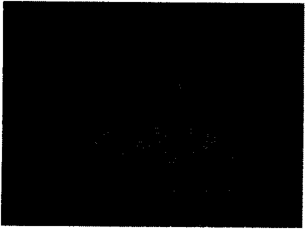 Flicker detection method and device thereof