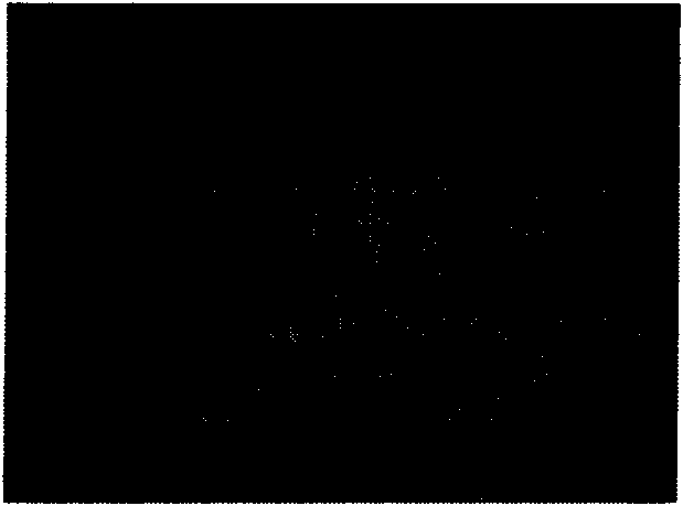 Flicker detection method and device thereof