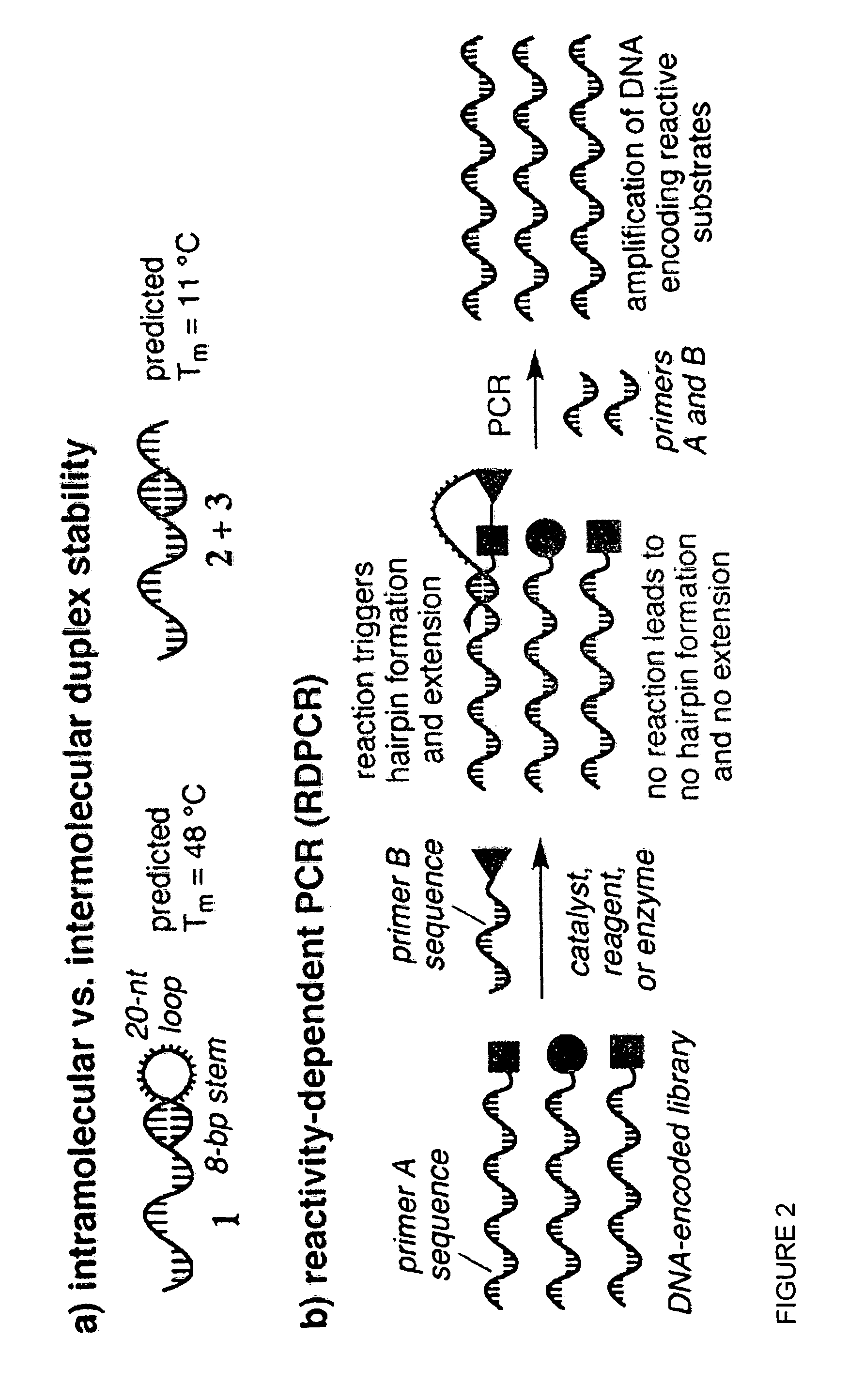 Reactivity-dependent and interaction-dependent PCR